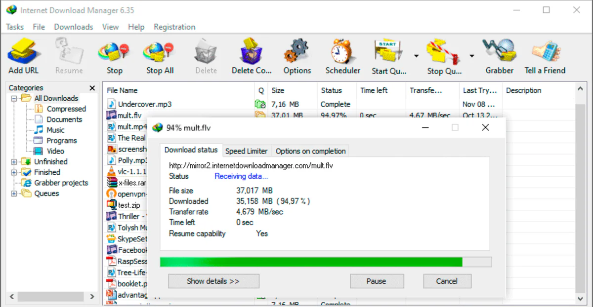 internet download manager