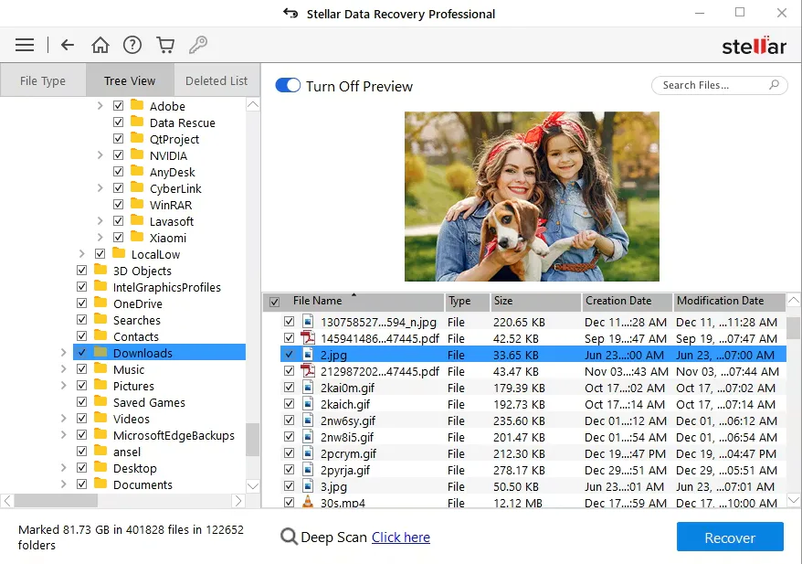 Stellar Photo Recovery Professional