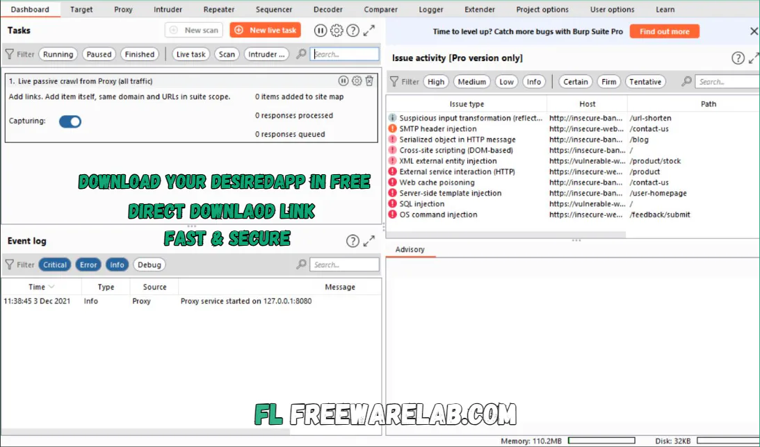Burp Suite Professional for windows