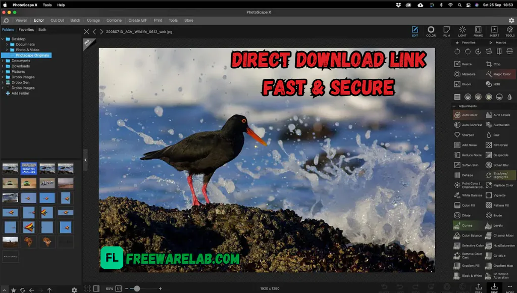 PhotoScape X Pro Download