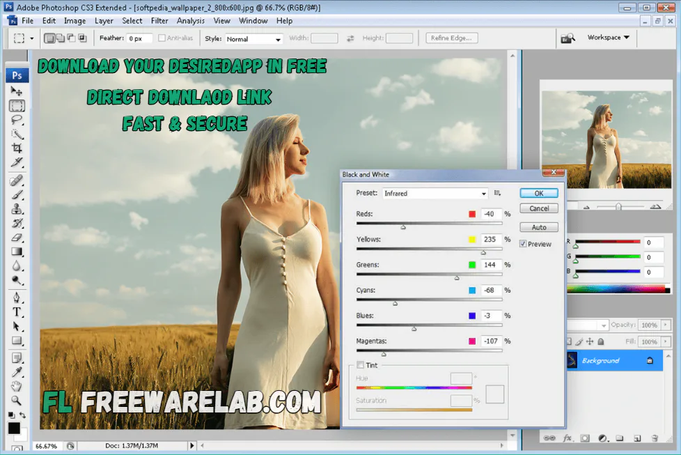 Adobe Photoshop CS3 for windows