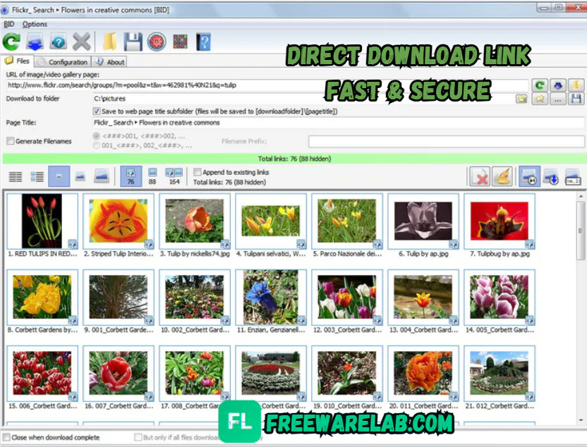 Bulk Image Downloader for Windows