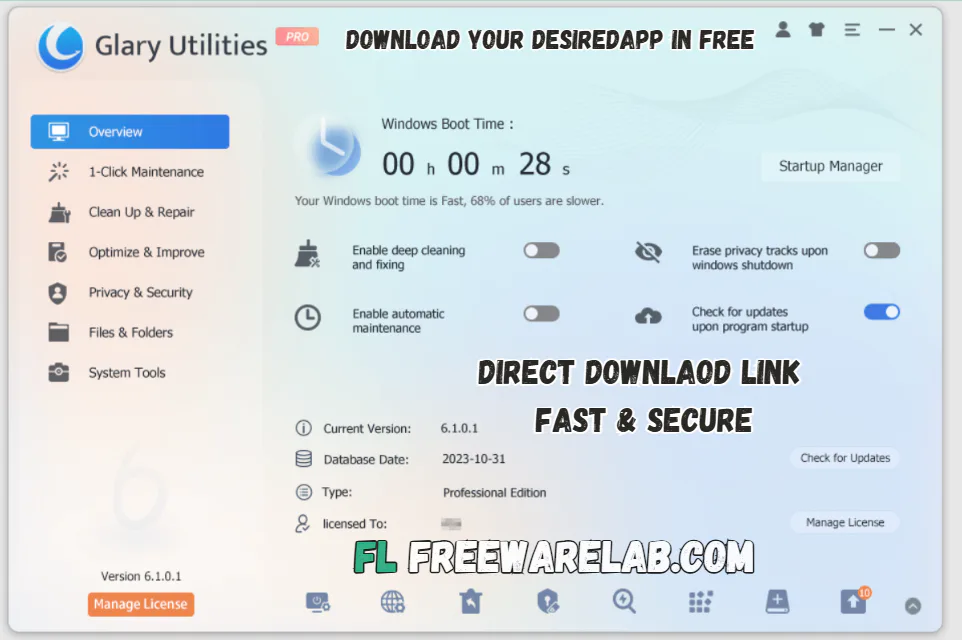 Glary Utilities Pro for windows