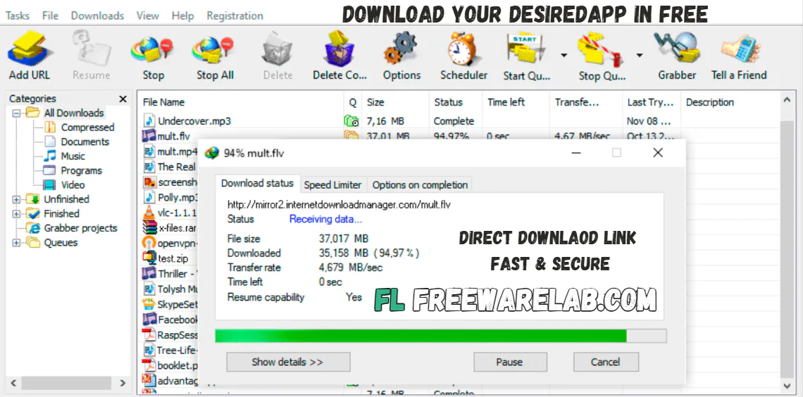 Internet Download Manager for Windows