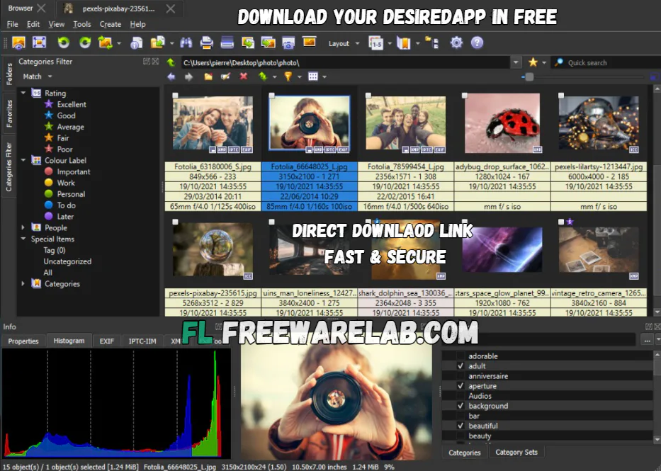 XnView MP free